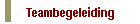 Teambegeleiding