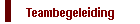Teambegeleiding
